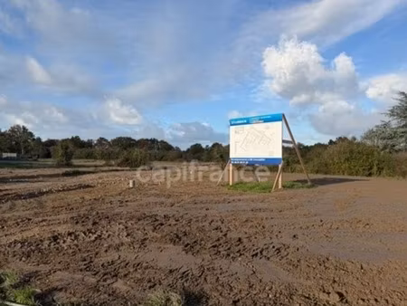 terrain à vendre saint urbain (85)