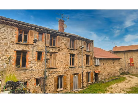 maison de village 750 m² + jardin 1100 m²avec appartement 100 m² loué