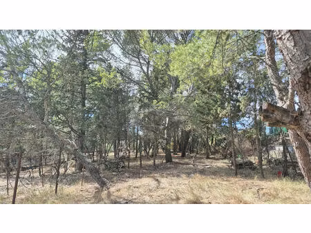 vente terrain  449.00m²  ouveillan
