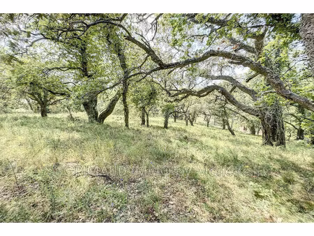 achat terrain 6 350m² grimaud 83310