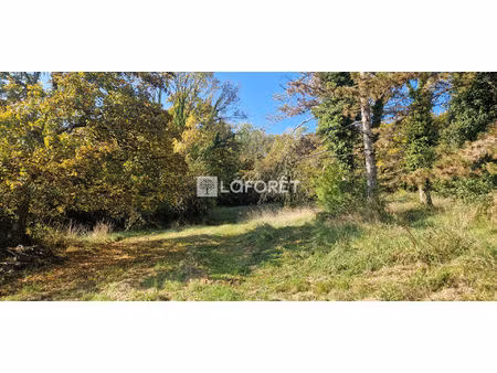 terrain port-lesney à vendre