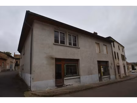 immeuble à vendre marcigny 8 pièce(s) 320m2 59 000€