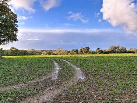 achat terrain 33 554m² la haye 50250