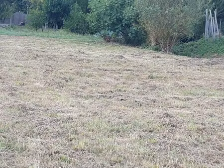 vente terrain 1200 m² saint-romain-la-virvée (33240)