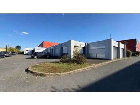 achat local professionnel 407m² st jean de la ruelle 45140