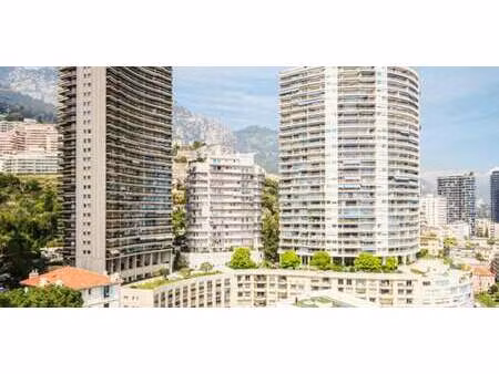 appartement avec terrasse monaco (98)