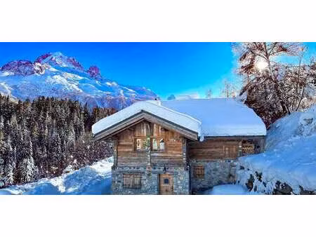 chalet avec terrasse chamonix-mont-blanc (74)