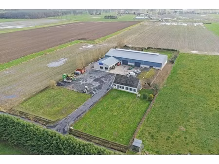 commercieel te koop in damme