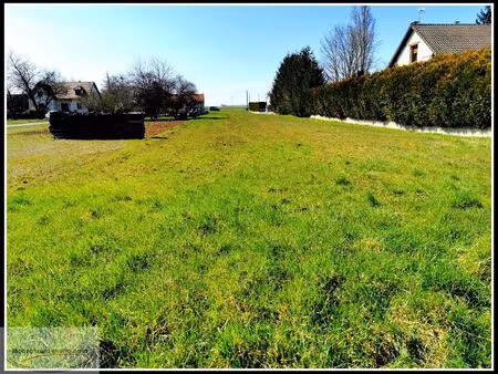 vente terrain 1238 m² pringy (51300)