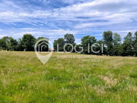 vente terrain 6246 m² lannemezan (65300)