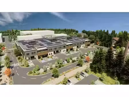 location commerce 42975 m² à décines-charpieu (69150)