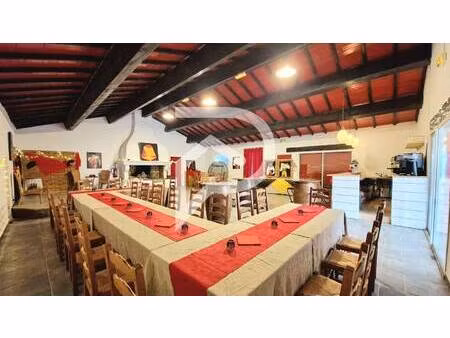 stéphane plaza immobilier aigues mortes