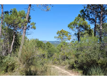 vente terrain 943 m² salernes (83690)