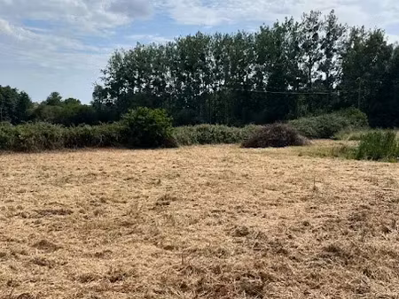 vente terrain 564 m² à ancinnes (72610)  21 996 €