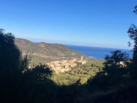 vente terrain à batir 3484 m² à aregno (20220)  550 €