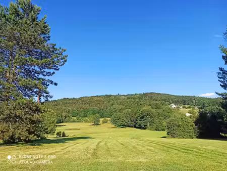 terrain