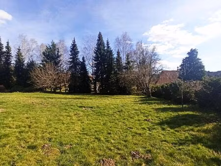 vente terrain 1300 m² tendon (88460)