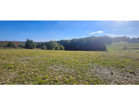 vente terrain 1970 m² à beauvais-sur-tescou (81630)  65 000 €