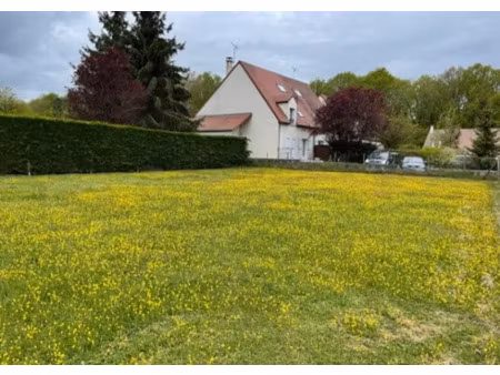 vente terrain 610 m² à montigny-lencoup (77520)  60 000 €