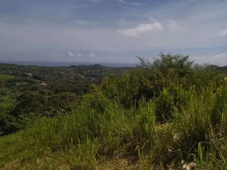 vente terrain 1405 m² à ducos (97224)  170 000 €