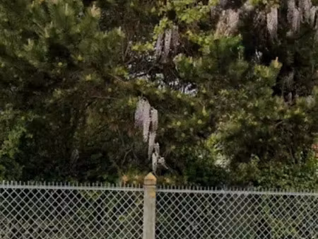 vente terrain 260 m² à antony (92160)  315 000 €