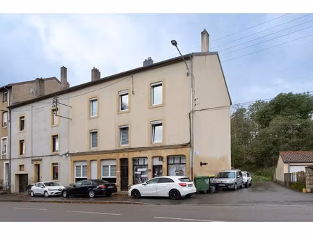 vente immeuble 317 m² à hayange (57700)  399 000 €