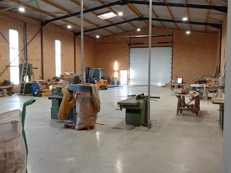 vente locaux professionnels 600 m² à mauléon (79700)  472 500 €