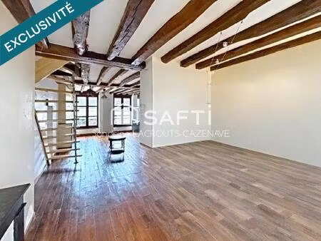 bourgogne village - duplex 3 pieces - proche loire