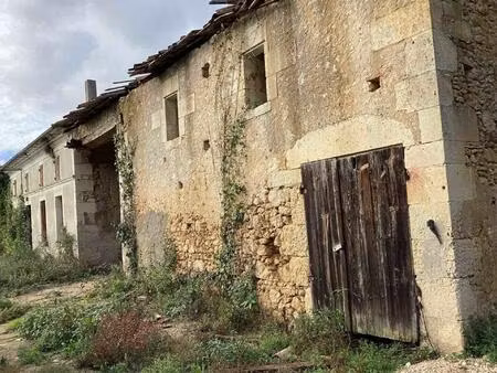 belle bâtisse charentaise à rénové entièrement sur un terrain de 1760 m2 environ 400 m2 de
