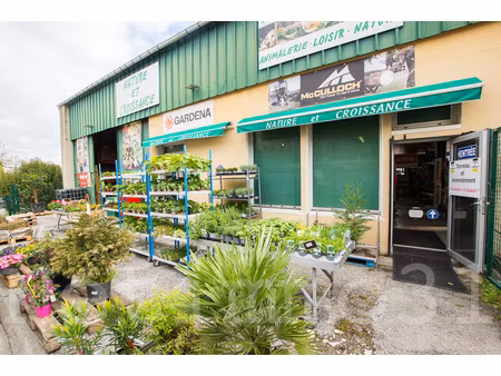 local commercial et stockage  appartement et garages