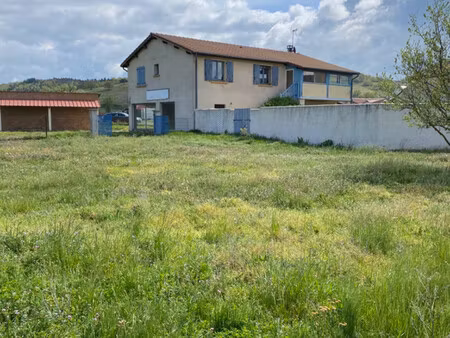 maison avec local commercial et dépendances