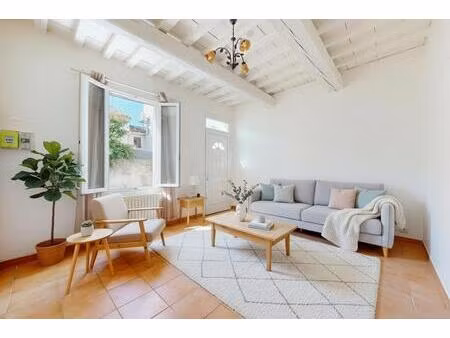 adorable maison de village aux portes de la camargue