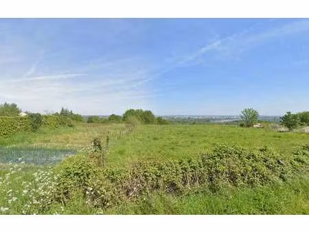 vente terrain à drain (49530) : à vendre / 382m² drain