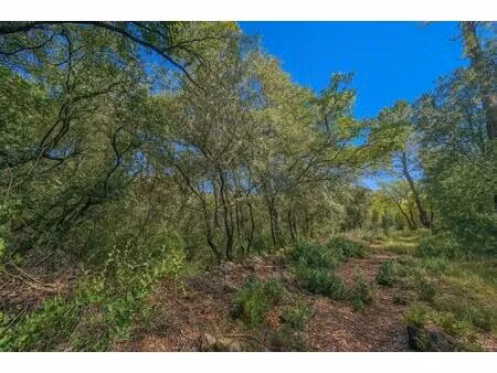 terrain zone naturelle lorgues 8429 m2