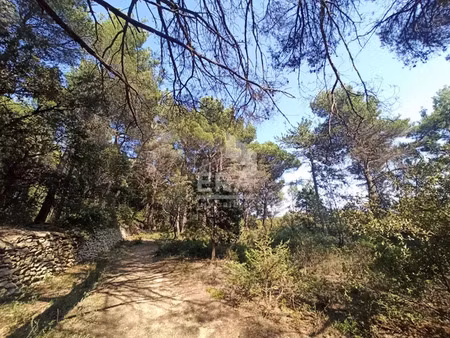 terrain 0 pièces 4060 m² à vendre / acheter bédoin 84410 ? | era immobilier