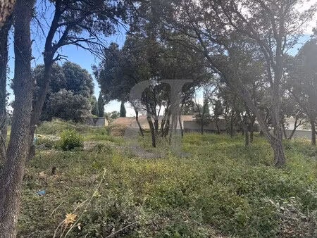 achat terrain 650m² chateauneuf du pape 84230