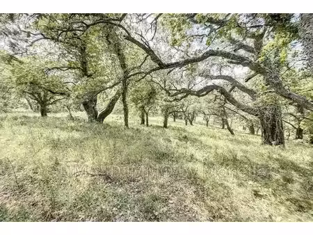 terrain de 6350 m2 - grimaud  provence-alpes-côte d'azur
