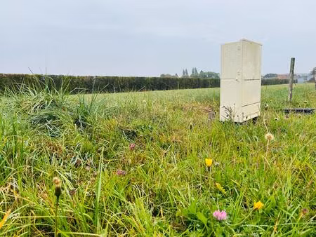 necy terrain de 948m² entierement viabilise