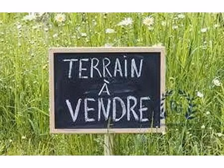 terrain agricole - vignes