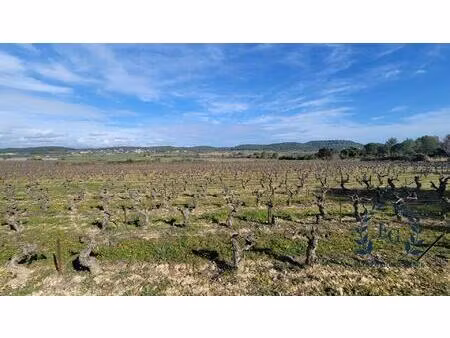 terrain agricole - vignes