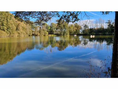 morbihan  ménéac  lacs de pêche d'exception sur près de 4 hectares