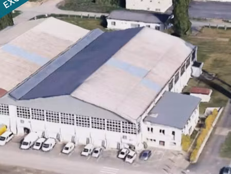 vente commerce 11 pièces 10556 m² déols (36130)