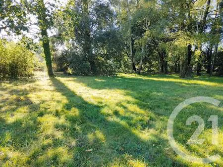 vente terrain à saint-gildas-de-rhuys (56730) : à vendre / 1200m² saint-gildas-de-rhuys