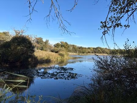 vente maison 25 m² neuillay-les-bois (36500)