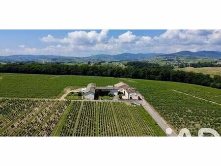 maison avec jardin et terrasse arnas (69)