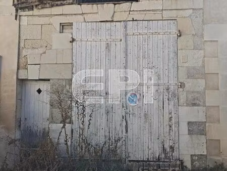 vente commerce richelieu (37120)