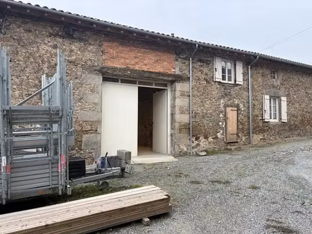 local d'activite a louer