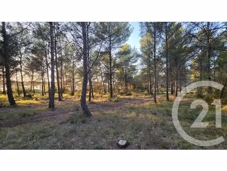 terrain à vendre - 5245 m2 - st mitre les remparts - 13 - provence-alpes-cote-d-azur