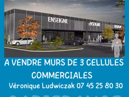 vente immeuble 227 m² montigny-en-ostrevent (59182)