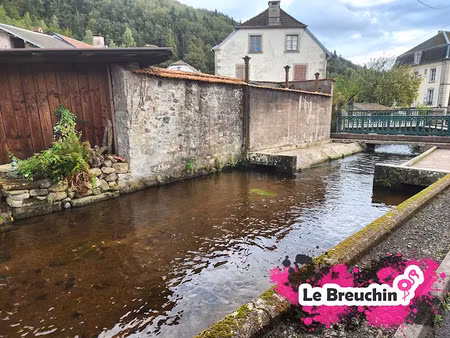 vente appartement 2 pièces 52 m² à faucogney-et-la-mer (70310)  40 000 €